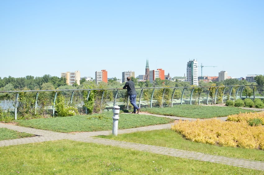 Tłumaczenie botaniczne