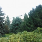 Neuropoztywni tłumaczenie język angielski