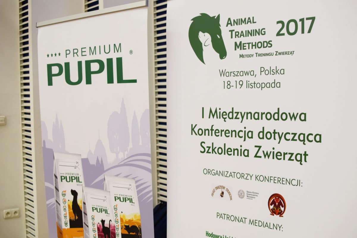 Tłumaczenie symultaniczne – szkolenie zwierząt