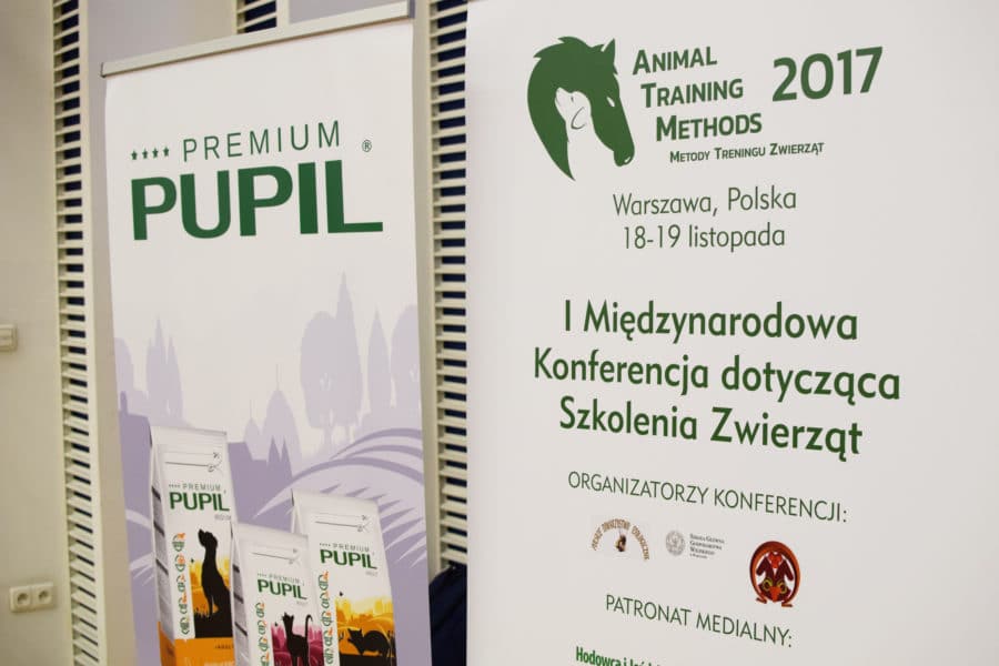 Tłumaczenie symultaniczne – szkolenie zwierząt